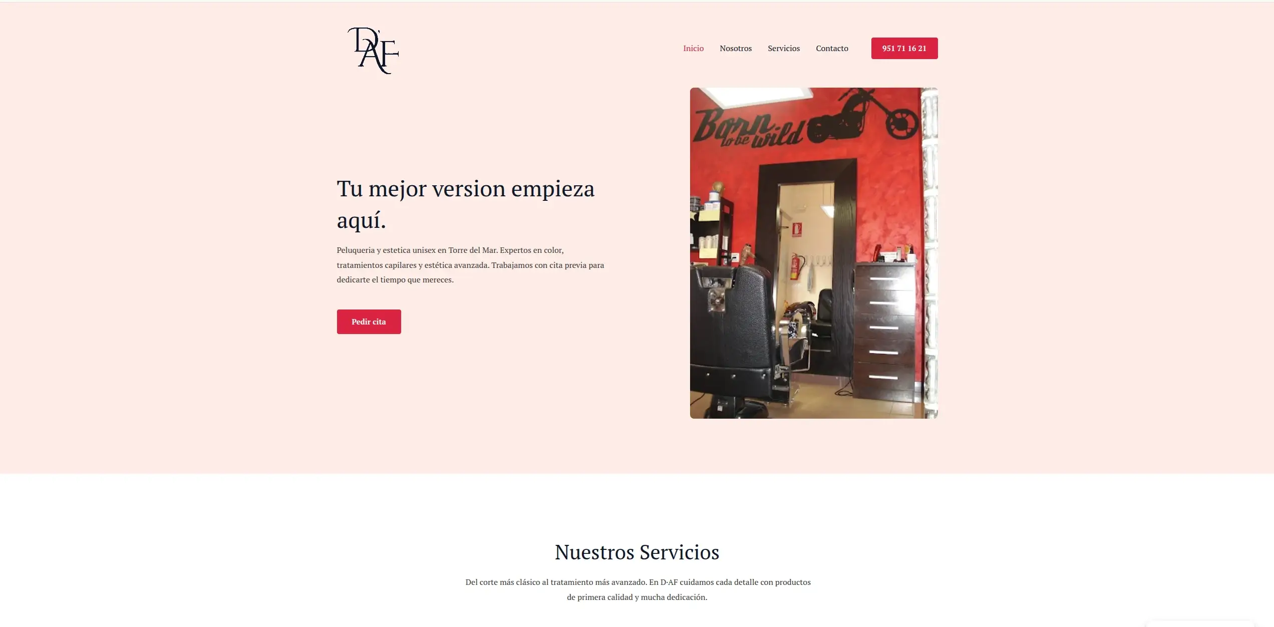 Previsualización de Peluquería DAF