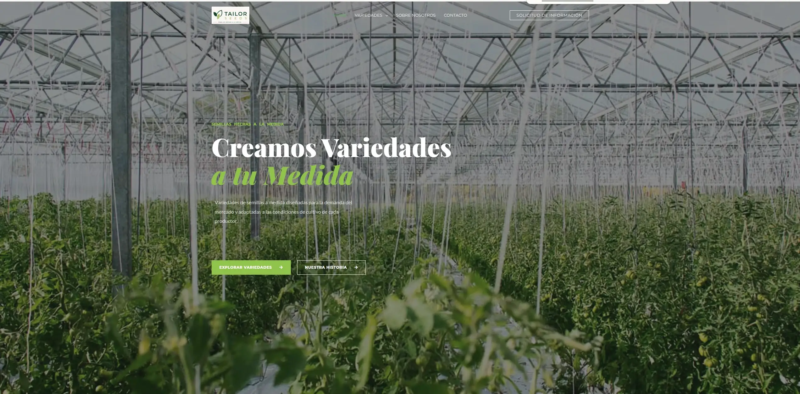 Previsualización de Tailor Seeds